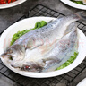 优牧冠 三去开背海鲈鱼/河鲈鱼随机 去内脏 鲜活冷冻约400-450g 实拍图