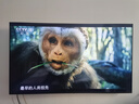 索尼（SONY）55英寸 索尼电视7系 MiniLED 电影感光影/原彩 22bit灰阶控制 XR芯片 55XR70 实拍图