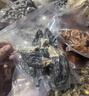 同仁堂（TRT）十珍菌菇礼盒山珍干菌食用菌类羊肚菌汤包煲汤送礼父亲节礼物600g 实拍图