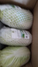 密农人家 农家种植三宝菜 新鲜蔬菜 鲜嫩小白菜 大娃娃菜 小颗白菜500g 实拍图