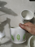 仟尚亿随机八个花盆陶瓷批发带托盘家用绿萝创意简约多肉植物小多肉花盆 随机4个带托盘10cm 中等 实拍图