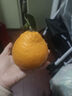 生活＆好管家 四川春见耙耙柑爆浆大果新鲜水果礼盒应季橘子现摘柑橘子桔子 净重4.5斤【超划算】 果径85-90mm【特大果】 实拍图