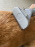 宠物狗狗梳毛专用去浮毛神器柯基比熊柴犬毛发清理用品猫毛狗毛梳 蓝灰祛毛梳+绿色按摩梳 热销组合 实拍图