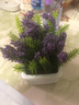 九千谷假花仿真花紫色薰衣草盆栽塑料花束办公室假绿植客厅装饰品3551 实拍图