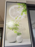 画测入户玄关装饰画现代简约绿植走廊过道壁画进门竖版挂画北欧小清新 T4894 40*80单副纹理画25mm铝合金黑框 实拍图