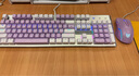 本手机械键盘有线键鼠套装 紫色键盘鼠标猫耳朵耳机三件套 背光可爱男女生办公台式电脑笔记本电竞游戏 紫白-混光红轴两件套【键盘+鼠标】 实拍图