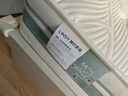 林氏家居泰国乳胶床垫榻榻米床垫子双用软硬床垫椰棕独袋弹簧棕垫CD200 【21CM】净味护脊A款1. 5*1.9米 实拍图