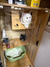 蒂乐森猫笼子家用猫舍史室内超大自由空间猫屋猫柜三层豪华木猫窝猫别墅 原木色120*60*60【升级无框】 自行安装+送货上门 实拍图