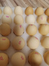 我老家 农家谷物鸡蛋 山林散养初生蛋鲜鸡蛋 50枚装2000g 实拍图