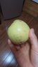 甜醉了 奶油富士脆甜烟台苹果黄金富士山东水果栖霞红富士应季丑苹果 净重2斤75-80mm 实拍图