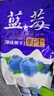 东北大兴安岭野外生蓝莓干无添加天然蓝莓果泡水上班族眼干酸涩 散装 特级1000g(二斤)袋装 实拍图