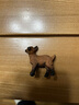 思乐（Schleich S）新年礼物仿真农场家禽动物模型羊驼猪兔羊驴猪火鸡男女孩儿童玩具 小羊羔13829 实拍图