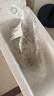 云峰海瑞黑壳虾清洁虾观赏虾 鱼缸水族箱水草缸清洁除藻淡水 【清洁大师】黑壳虾20+10备损 实拍图
