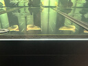 玛豆V7龙鱼用维生素专用营养液观赏鱼v益生菌c防厌食促进发色伤口愈合 全国7仓发货，500ML单瓶装（促进鳞片发色） 实拍图