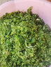 沃农赛德 碎菜机碎草机喂鸡鸭鹅猪养殖家用多功能电动瓜草蔬菜切菜打菜机 不锈钢桶+1800W纯铜电机+4刀片 实拍图