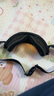 OAKLEY滑雪镜 户外双层防雾大视野柱面雪镜护目镜0OO7124-01 L码 实拍图