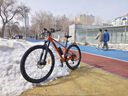 西骑者（WestBiking）三培林自行车脚踏板铝合金山地车通用轴承脚蹬公路单车配件 蓝色 实拍图