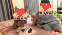浪莎儿童保暖内衣套装秋冬7A抗菌防螨中大童女孩双面磨绒秋衣秋裤 实拍图