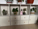 卓禾实木书柜置物柜沙发边柜家用客厅收纳柜子储物柜矮柜简易落地书架 【密度板加厚】奶油白120CM 实拍图