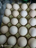 山林散养鲜鸡蛋40g枚早餐京东包邮买菜生鲜土鸡蛋溏心蛋水煮蛋 50枚 40g 实拍图