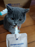 优基猫酱全价主食舔舔酱咕噜酱包无谷鸡肉鹌鹑乳鸽配方成猫幼猫湿猫粮 鸡肉乳鸽鹌鹑配方 1包(体验) 实拍图