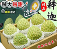 采缇（CAITI）现货大目凤梨释迦果5斤 新鲜番荔枝佛头果水果孕妇整箱 精选三斤中果（6-8个） 实拍图