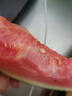梦茜儿麒麟西瓜 10斤广西黑美人薄皮新鲜甜水果冰糖4k沙瓤生鲜时令 6斤 -7斤｜爆甜麒麟瓜(一颗装) 气柱+网套(偏远+保温袋) 晒单实拍图