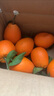 逮果重庆奉节脐橙纽荷尔春橙福本特级大果礼盒装时令新鲜孕妇水果橙子 净重9.3斤果王/80mm+/约12-15个 实拍图