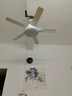 领王风扇灯客厅吊扇灯一体大风力变频吊扇家用餐厅新款吸顶中山灯具 白色42寸-变频6档-全光谱-遥控 吊灯款 实拍图