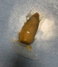 万达香辣鱿鱼仔500g 即食墨鱼仔休闲零食海鲜小吃海味鱿鱼干罐装 实拍图