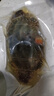遇上鲜 舟山红膏呛蟹 海鲜 生腌梭子蟹醉蟹 净含量6-8两/只 源头直发 实拍图