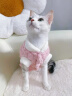 贝初众猫衣服冬季保暖防掉毛幼猫犬猫咪狗狗衣服冬天两脚布偶猫比熊泰迪 樱花粉小熊 M 建议3-5斤猫咪 带牵引扣 金龟绒两脚装 实拍图