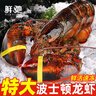 鲜驰熟冻 波士顿大龙虾波龙加拿大进口虾类活虾大龙虾海鲜 波士顿龙虾 净重400-500g*2只 实拍图