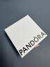 潘多拉（PANDORA）[618]金蛇链扣蛇骨手链素链本命年男女同款金色生日礼物送女友 实拍图