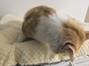 梵都宠舍狗窝垫子睡垫加厚加绒可水洗猫床垫冬季保暖猫咪睡觉用垫子大号 实拍图