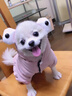 阿莫尔可爱宠物狗狗衣服泰迪小型犬加厚秋冬装四脚加绒猫咪衣服棉衣服饰 大眼睛（粉色） 2XL 建议12-15斤 实拍图