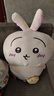 名创优品（MINISO）chiikawa大号挎包站姿公仔毛绒玩具玩偶抱枕礼物女 Usagi乌萨奇 实拍图