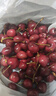 田良季车厘子樱桃【JD多地次日达】国产美早大樱桃5kg水果送礼品盒年货 4斤(净重) 礼箱装【超划算】 超大果 JJ 28-30mm【自食尝鲜】 实拍图