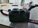 佳能r7相机 微单相机 视频直播高清eos r7 APS-C画幅 直播 踏青 打鸟摄影摄像微单 R7 RF-S 18-150 IS STM 套机 官方标配【不含内存卡相机包等必要配件 推荐选套餐】 实拍图