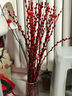 开时果 银柳鲜枝干花年宵花卉 红色真花福桶银柳水培植物室内装饰鲜花 福利推荐【60cm】银柳10枝 实拍图