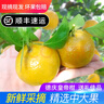 正宗德庆皇帝柑新鲜水果贡柑茂谷10斤广东当季桔子媛爱橘柑沃大果 5斤装中大果 实拍图