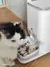 CATLINK自动喂食器猫咪定时定量智能宠物猫粮狗粮不卡冻干投喂器远程控制 喂食器标配版+UF超滤净水机 实拍图
