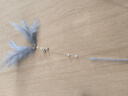 灵宠物语逗猫棒猫玩具自嗨猫咪玩具宠物磨牙幼小猫自嗨神器逗猫玩具4只装 实拍图