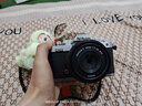 尼康（Nikon） Zfc 入门级数码微单相机 经典复古外观 高清摄影拍照视频直播 防抖 vlog便携无反相机 Z fc 银色机身(不含镜头) 不换饰皮-银色机身 实拍图