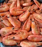 尚致北极甜虾头腹籽熟冻带籽甜虾进口解冻即食元宝虾生鲜虾类礼盒 90-120【头籽礼盒】 4斤(净重) 实拍图