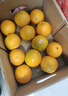 云冠橙净重10斤装2025褚橙官方云南冰糖橙当季新鲜水果礼盒橙子产地直发 XL果云冠橙 5kg 实拍图