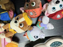 汪汪队立大功（PAW PATROL）汪汪队玩具毛绒全套狗狗玩偶公仔男女孩玩具旺旺队圣诞礼物 7只经典款-小号毛绒 小号-坐高约15.2CM 实拍图