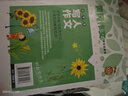 黄冈作文书大全（套装8册）小学生获奖作文/好词好句好段/读后感大全/想象作文/写人作文/叙事作文/写景作文/抒情作文 3-6年级全国通用版作文辅导书人教优秀作文选三四五六年级 实拍图