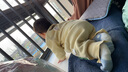 卡特兔婴儿学步鞋男童鞋儿童软底机能鞋春款女童宝宝小童网眼透气室内鞋 红黄蓝-棉纱 20 内长12.5cm 脚长11.5-12.0 实拍图
