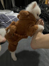阿莫尔猫咪衣服加厚秋冬装保暖棉衣泰迪比熊雪纳瑞小型犬狗狗宠物四脚衣 灰色变身装 M(建议5-8斤具体参考胸围背长） 实拍图